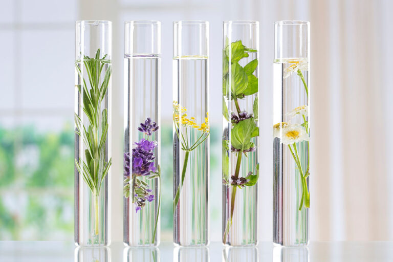 Allergologie vétérinaire