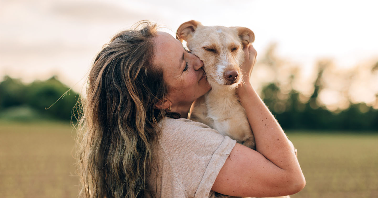 Carnet de désensibilisation