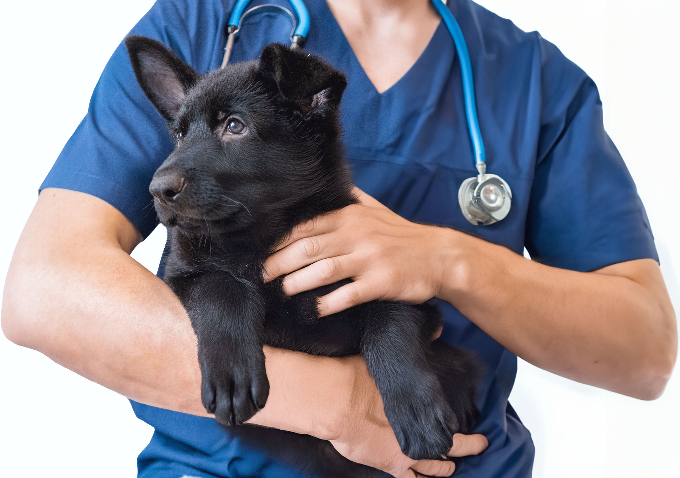 Laboratoire Destaing