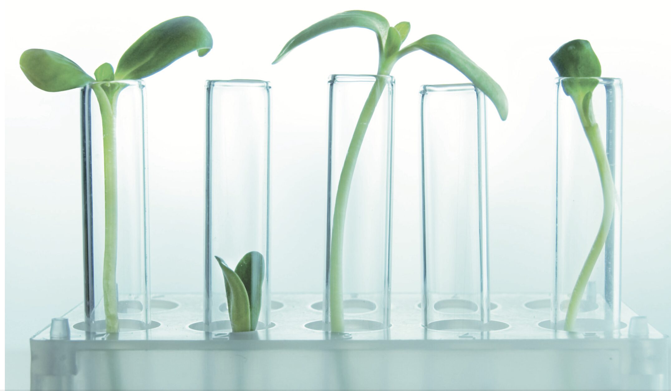 Tests par sérologie